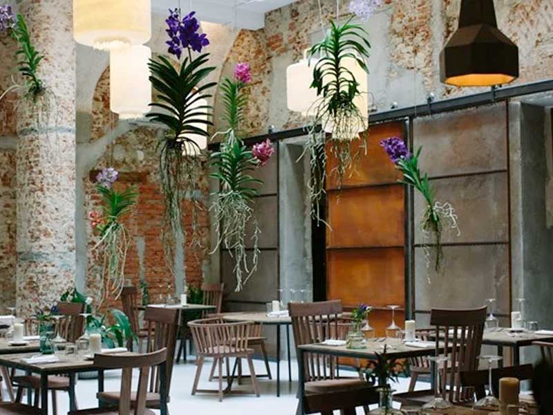 استفاده از گیاهان در طراحی رستوران
